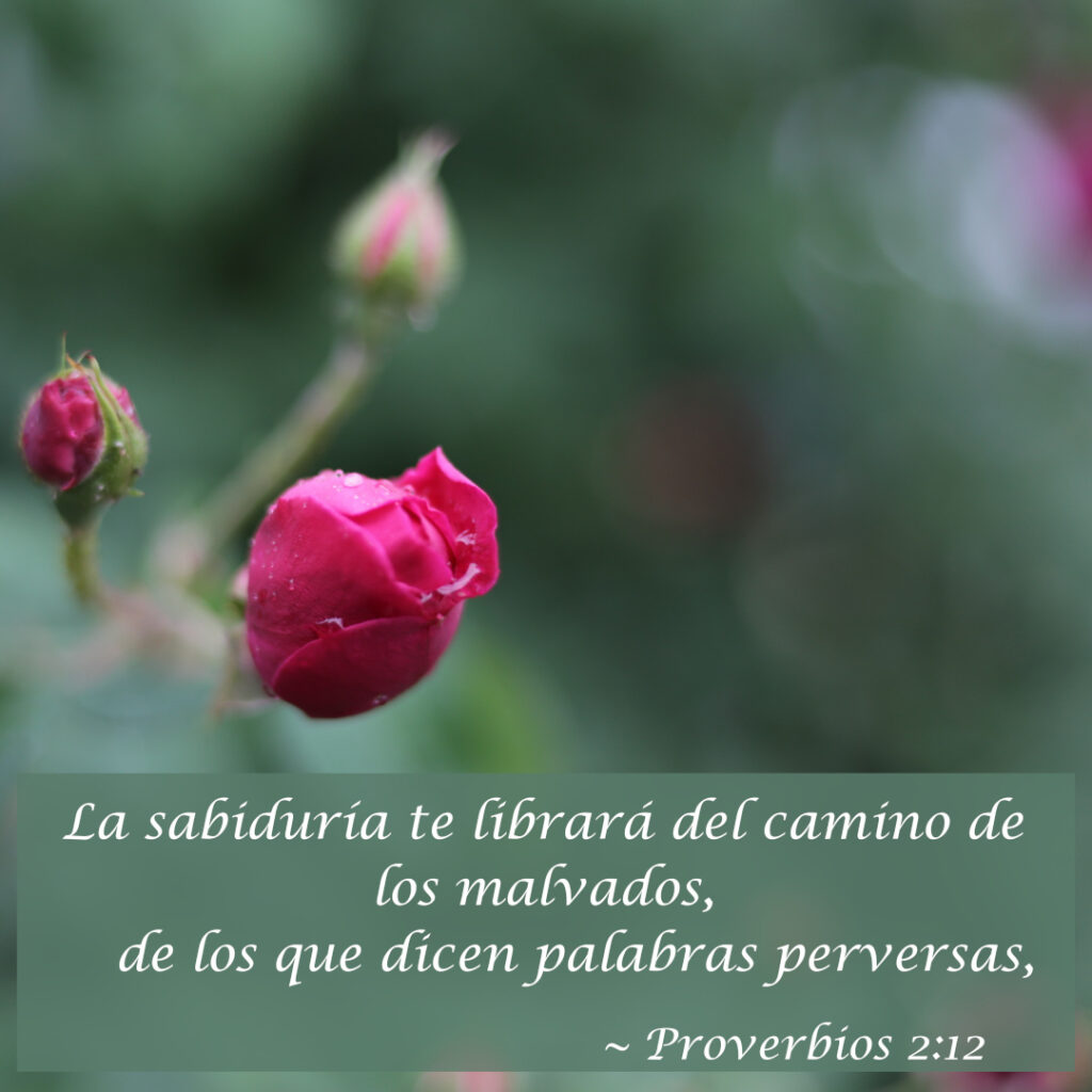 La sabiduría te librará del camino de los malvados, de los que dicen palabras perversas,  ~ Proverbios 2:12