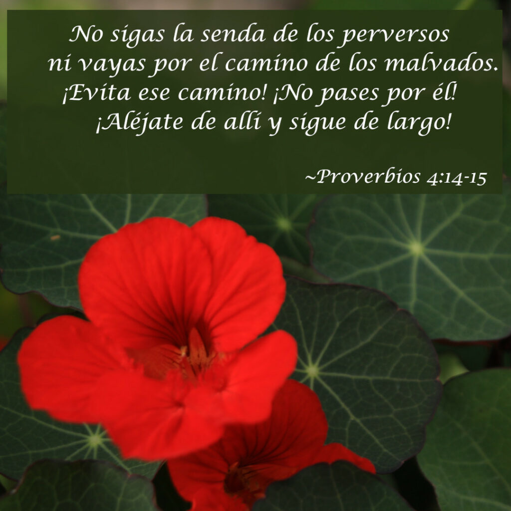 No sigas la senda de los perversos ni vayas por el camino de los malvados. ¡Evita ese camino! ¡No pases por él! ¡Aléjate de allí y sigue de largo!  ~ Proverbios 4:14-15