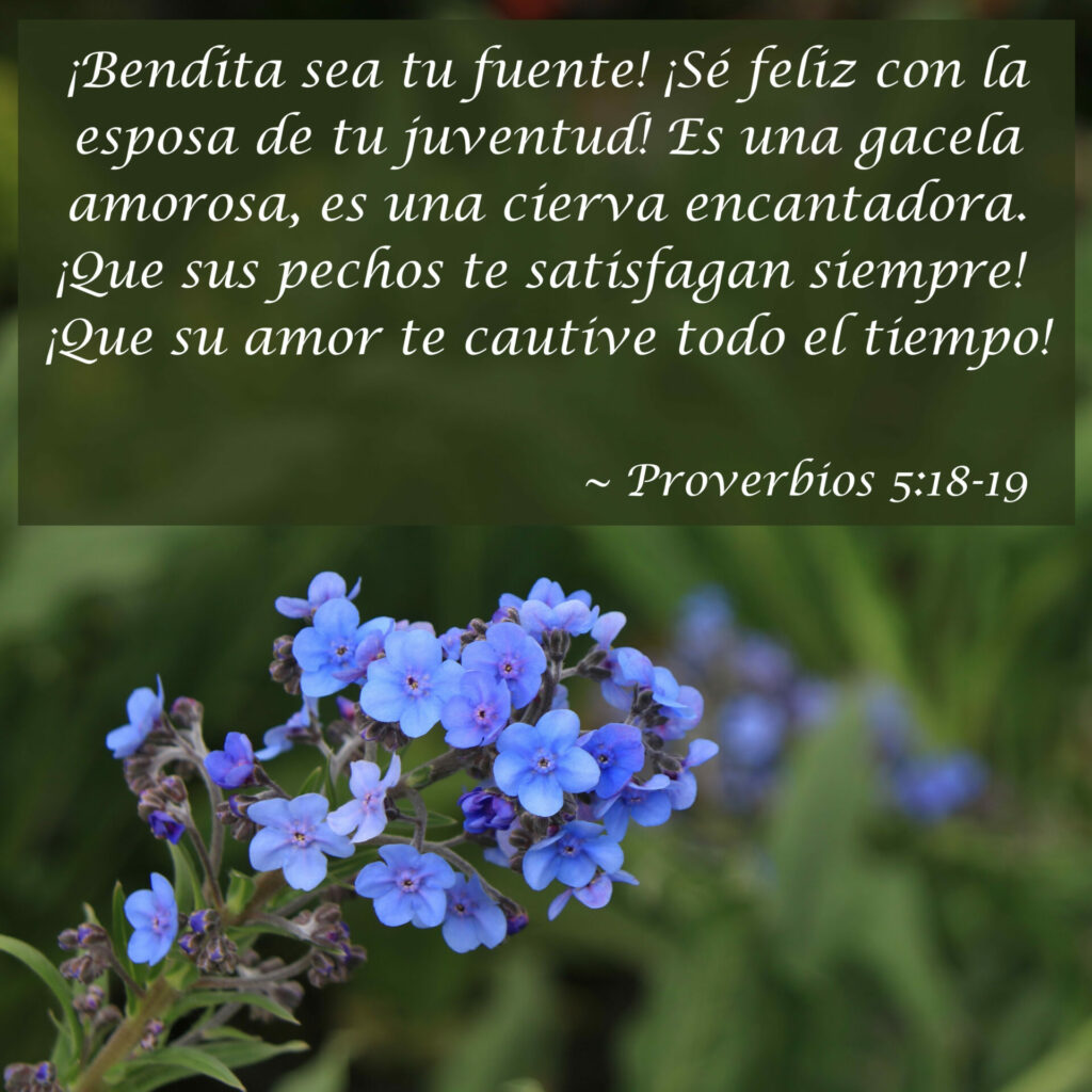 ¡Bendita sea tu fuente! ¡Sé feliz con la esposa de tu juventud! Es una gacela amorosa, es una cierva encantadora. ¡Que sus pechos te satisfagan siempre! ¡Que su amor te cautive todo el tiempo!  ~ Proverbios 5:18-19